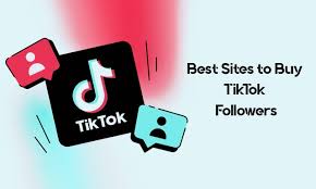 Tiktok Follower